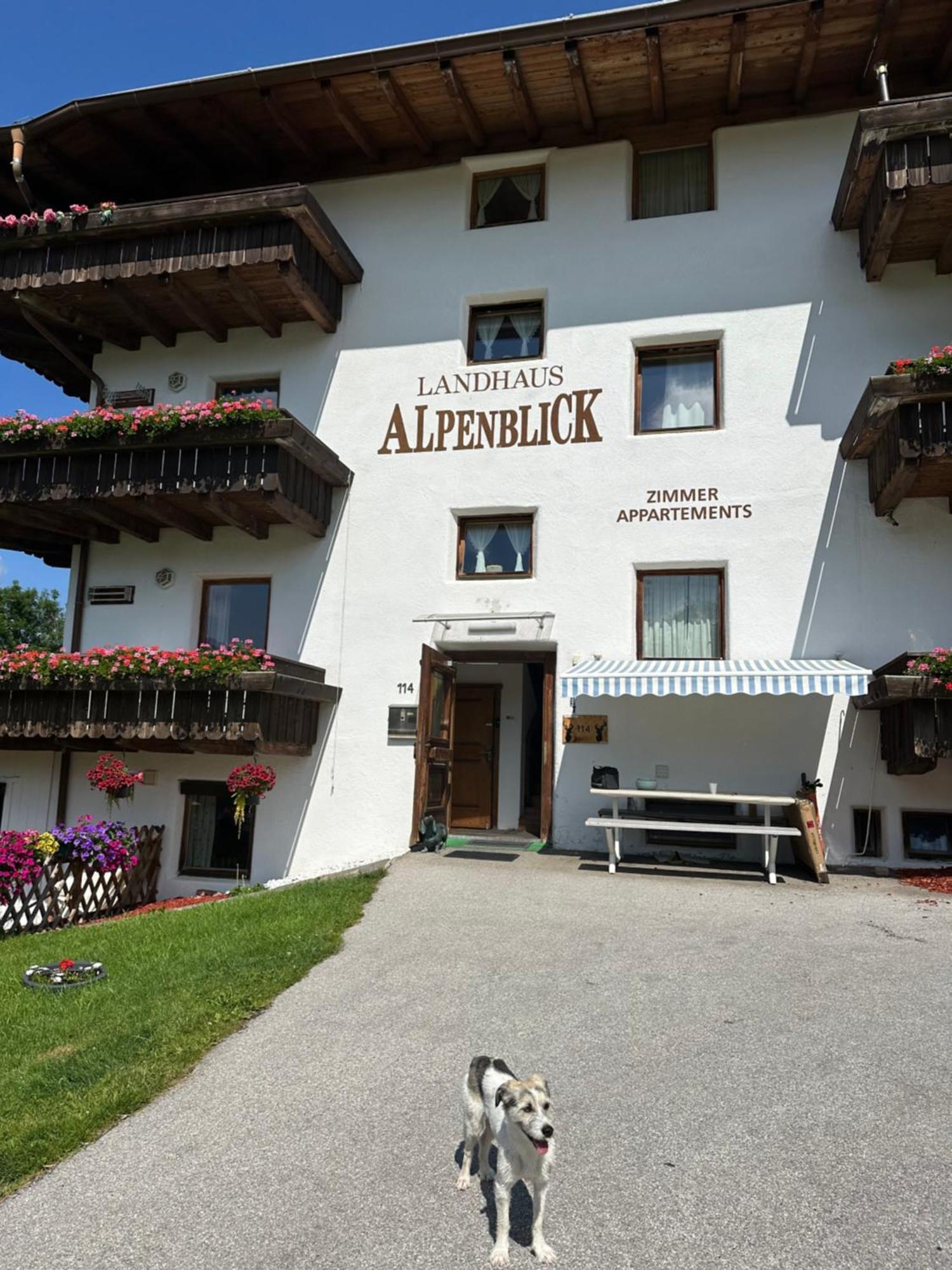 Landhaus Alpenblick Obsteig Exterior photo